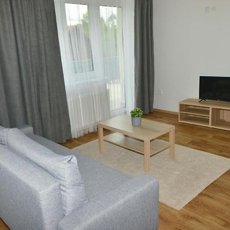 Apartmany U Peslu Zelezna Ruda Exterior photo